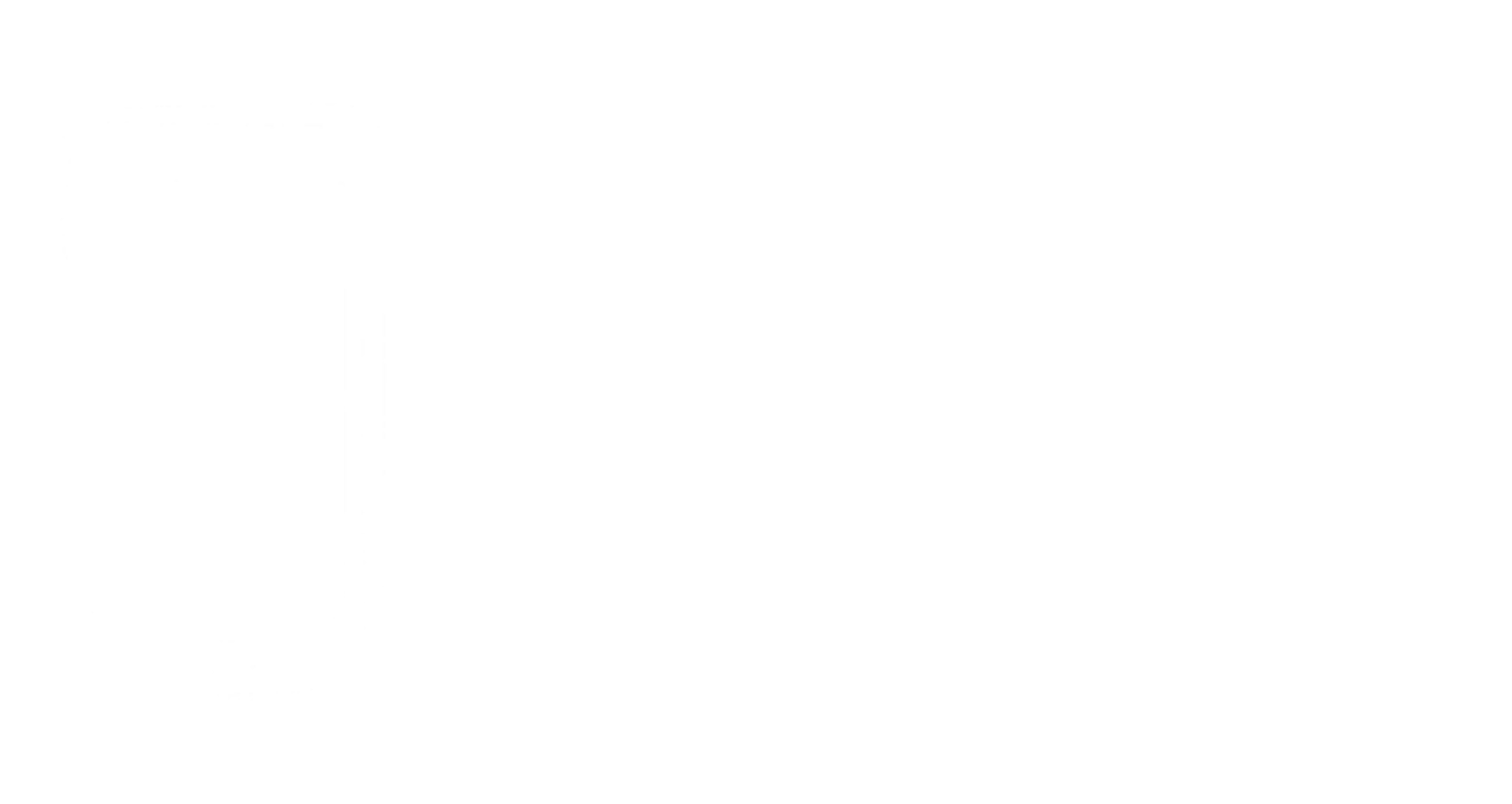 DLphone Chile